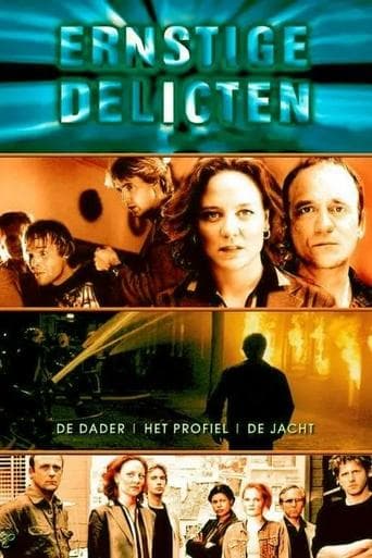 Ernstige Delicten Online
