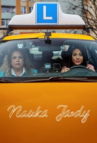 Nauka Jazdy Online