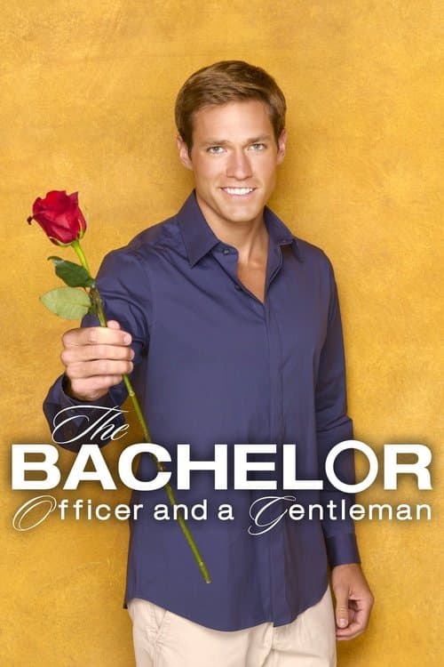 The Bachelor Online